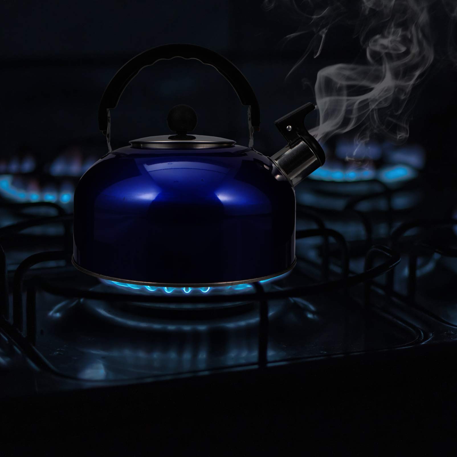 Premium Stainless Steel Whistling Tea Kettle - Stovetop Whistling Teapot for Coffee & Tea Making - Ergonomic Handle for Home, Kitchen, Camping & Outdoor Use - Durable Blue Water Kettle for Hiking, Picnics & Daily Brewing