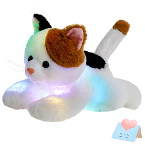 Calico Cat