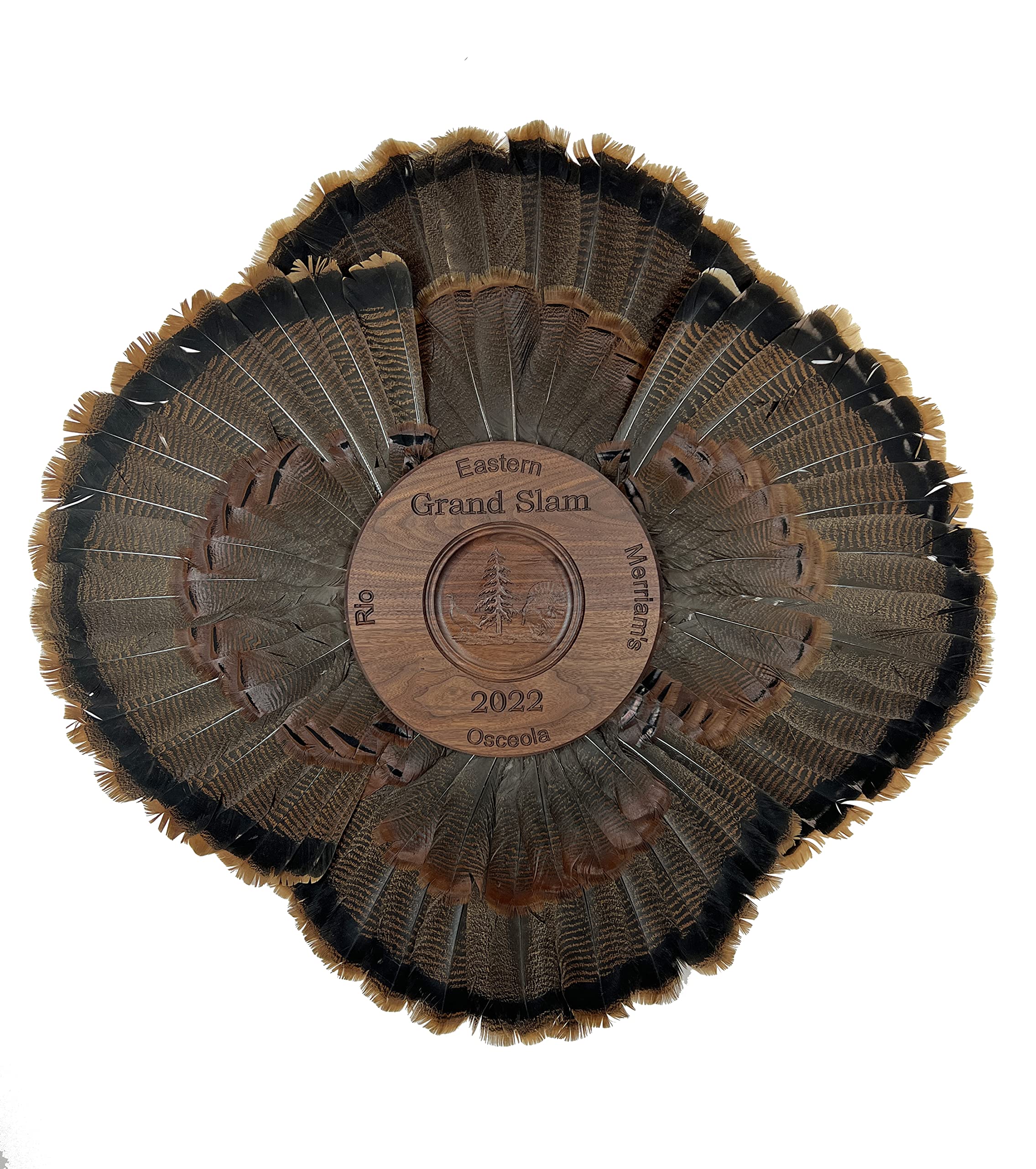 Custom Grand Slam Turkey Tail Display for All 4 Fans - Perfect for Sports Memorabilia Collections, Man Cave Decor, and Baseball Fan Gifts