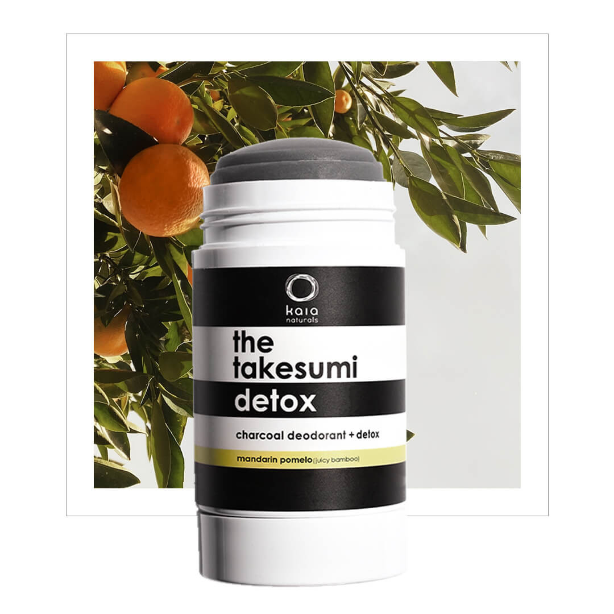 Organic Takesumi Detox Bamboo Charcoal Powder - Mandarin Pomelo Flavor | Natural Digestive Support & Toxin Removal | Perfect for Smoothies, Detox Drinks & Wellness Routines