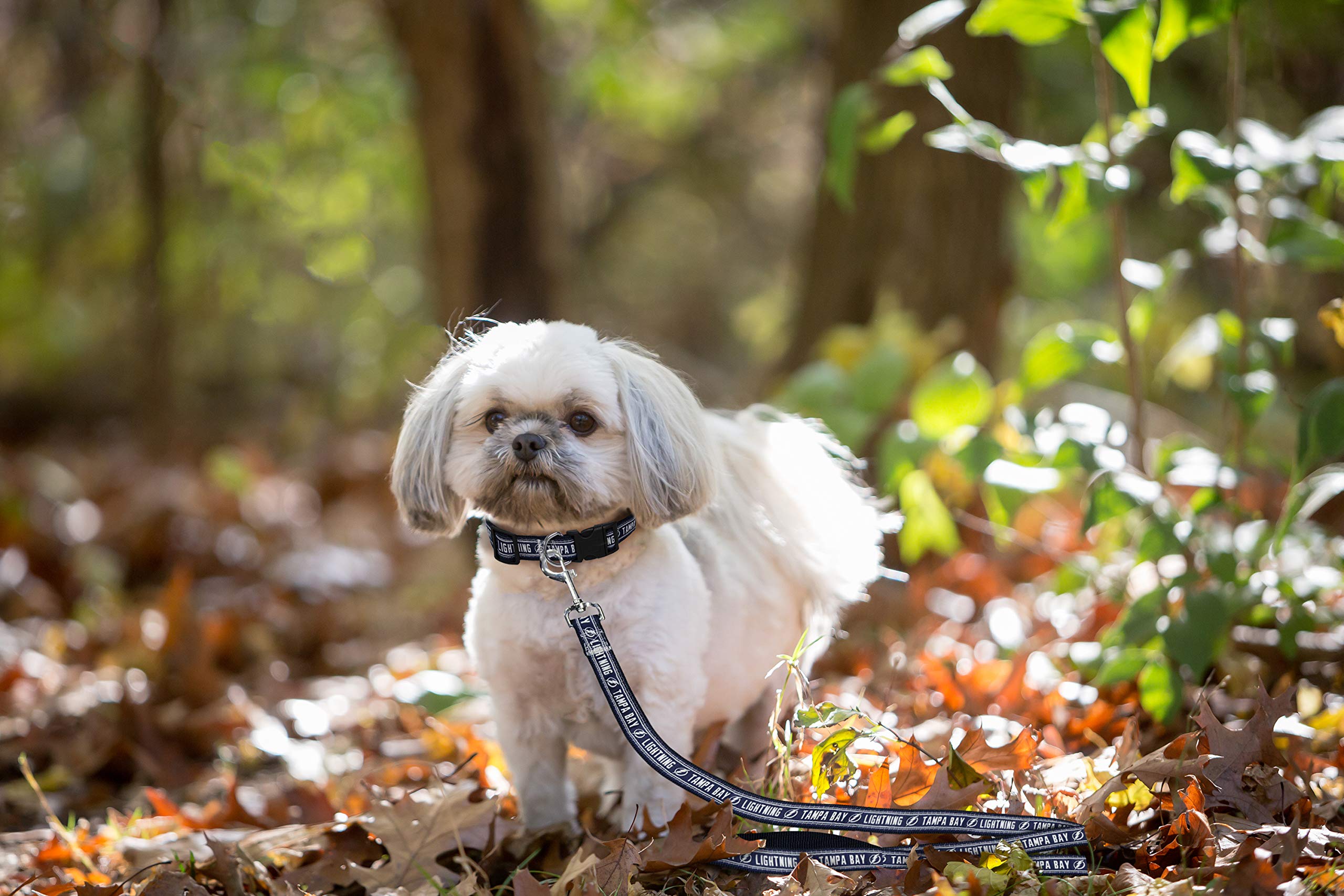 **Tampa Bay Lightning NHL Dog & Cat Leash - 4 ft Medium Pet Leash for Hockey Fans, 0.62 in Width (LTG-3031-MD) - Perfect for Game Day Walks & Stylish Outings**