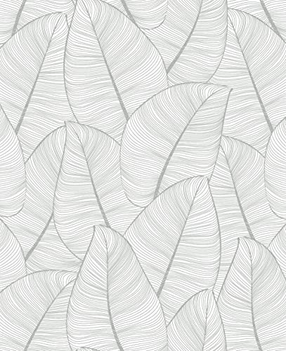 Grey & White