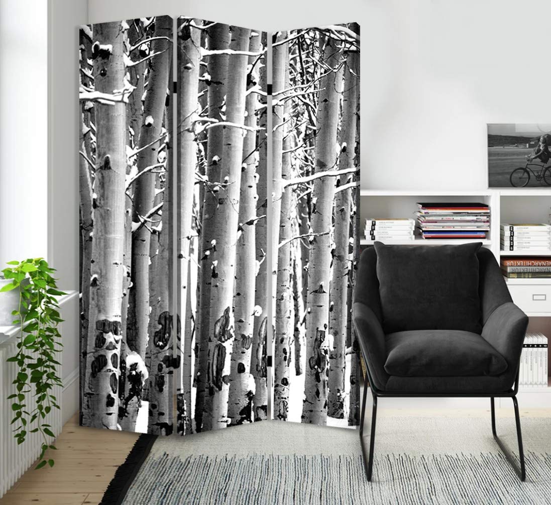 Stylish Birch Wood Room Divider Screen - Handcrafted Privacy Partition for Home, Office & Studio Decor | Perfect for Living Rooms, Bedrooms & Workspaces