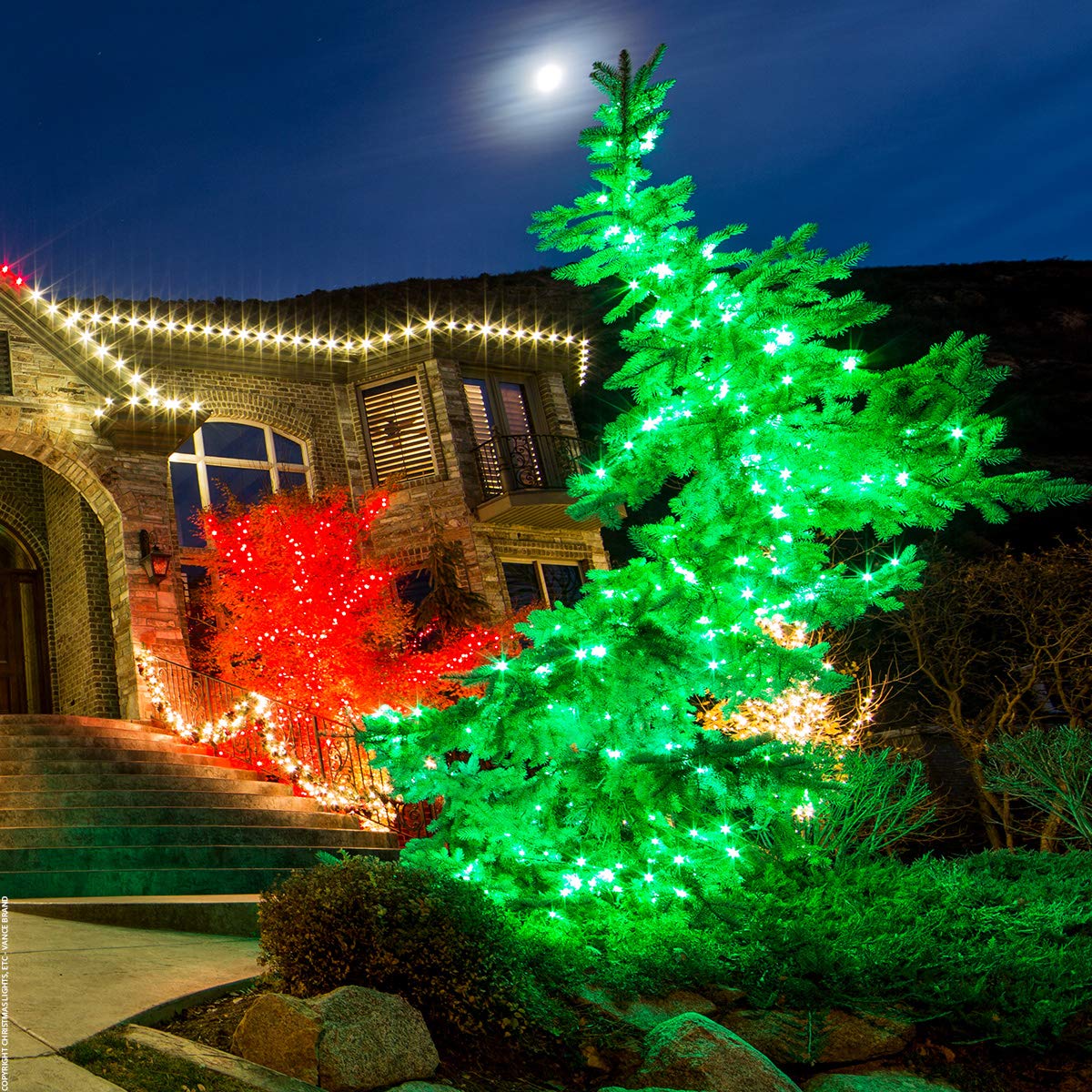 70 5mm Green LED String Lights - 24ft Wintergreen Christmas Lights, Halloween Decorations, St. Patrick's Day Lights for Indoor & Outdoor Use - Perfect for Holiday Parties, Garden Decor, and Festive Events