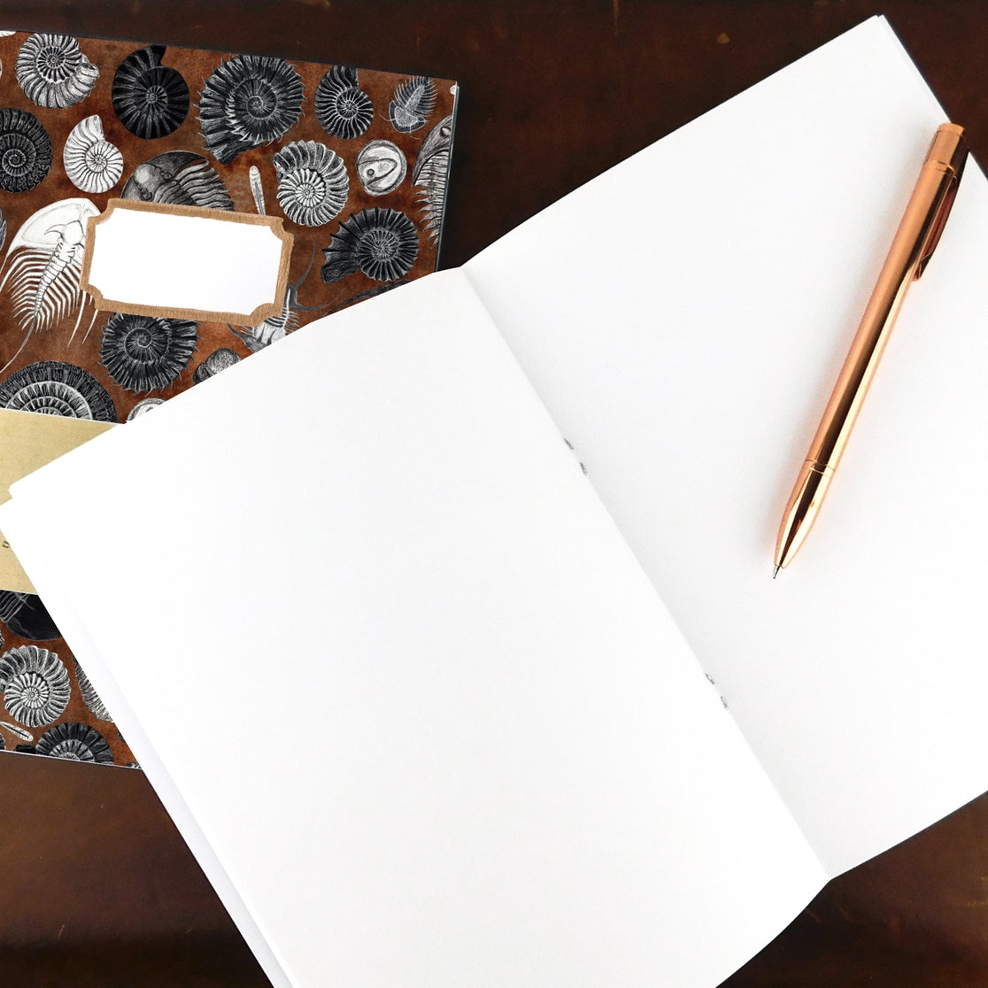 Ammonoidea Fossil Notebook - Vintage Spiral Bound Journal with Unique Ammonite Design - Perfect for Writing, Sketching & Gift Giving