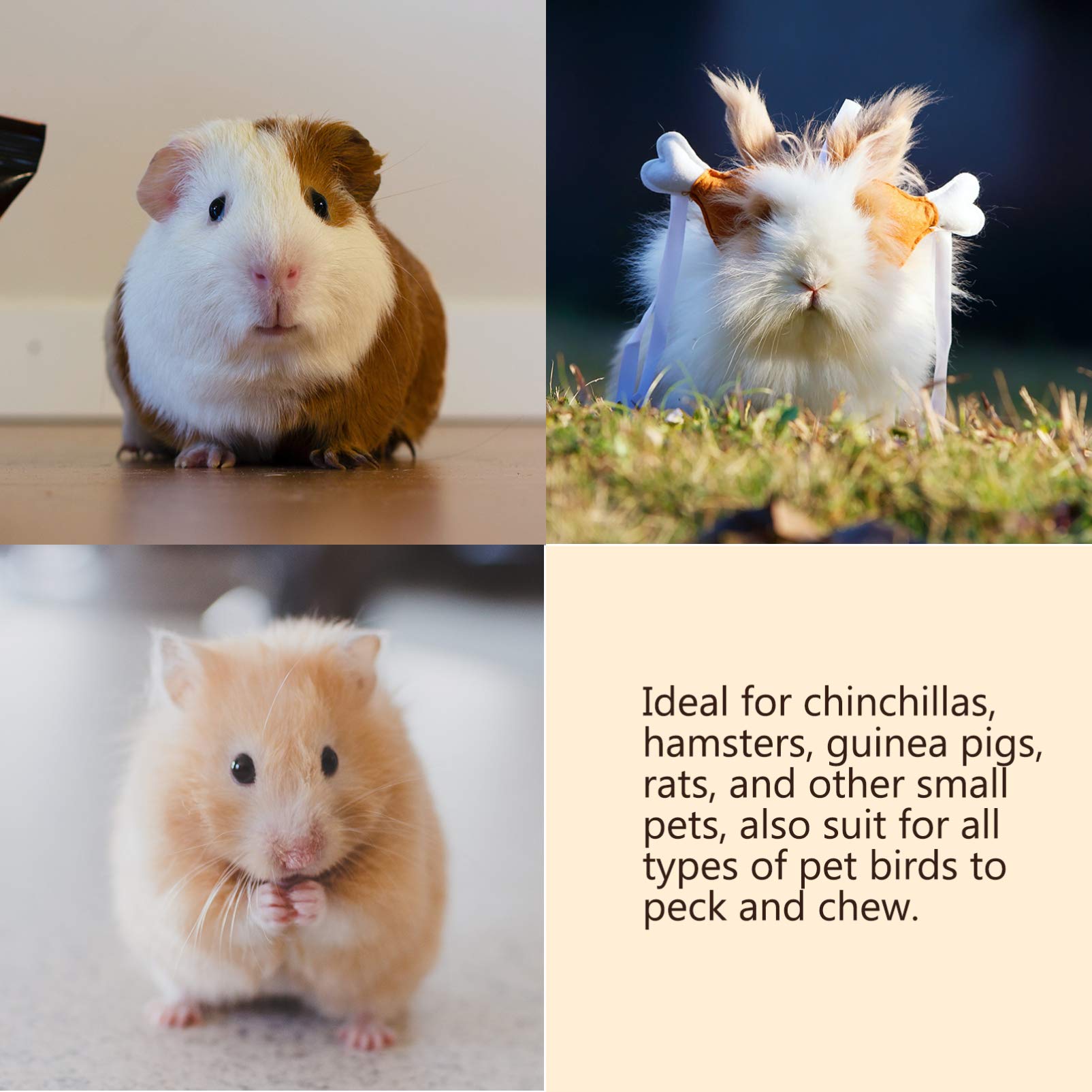 **POPETPOP 8-Piece Pet Teething Takraw Ball Set - Hamster, Rabbit, Rat Chew Toys for Small Pets - Natural Rattan Molar & Exercise Toys for Bunnies, Rodents - Perfect for Cage Decor & Stress Relief**    *(Ideal for teething, playtime, and keeping small pets active and entertained!)*