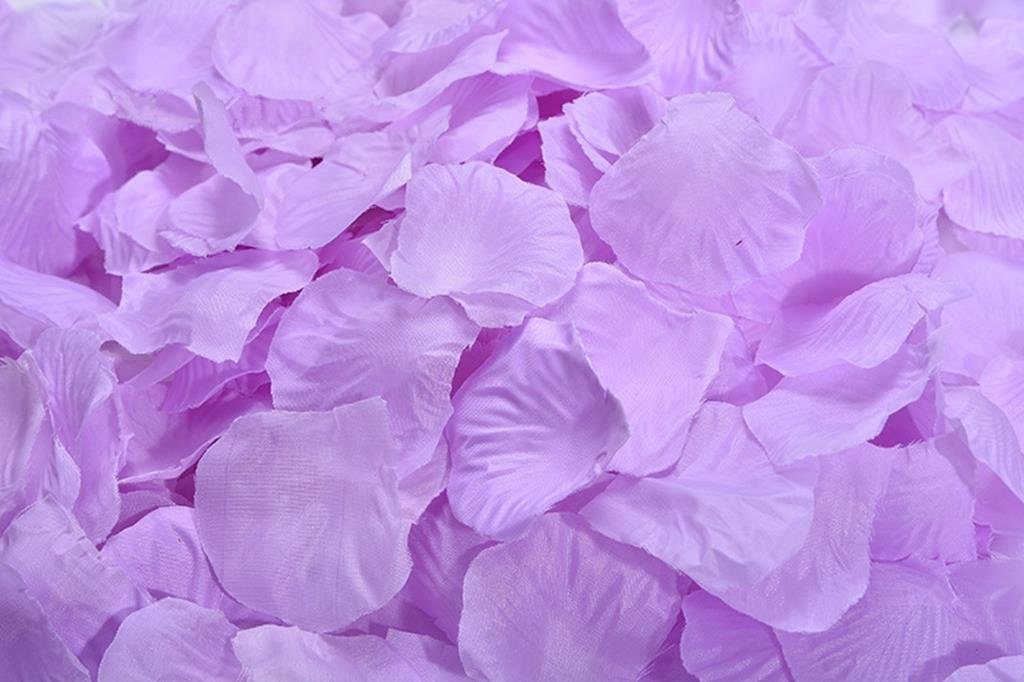 1000 Pcs Silk Rose Petals for Wedding Decorations - Plum Color Artificial Flower Petals for Romantic Wedding Aisle, Bridal Shower, Table Scatter & Party Decor