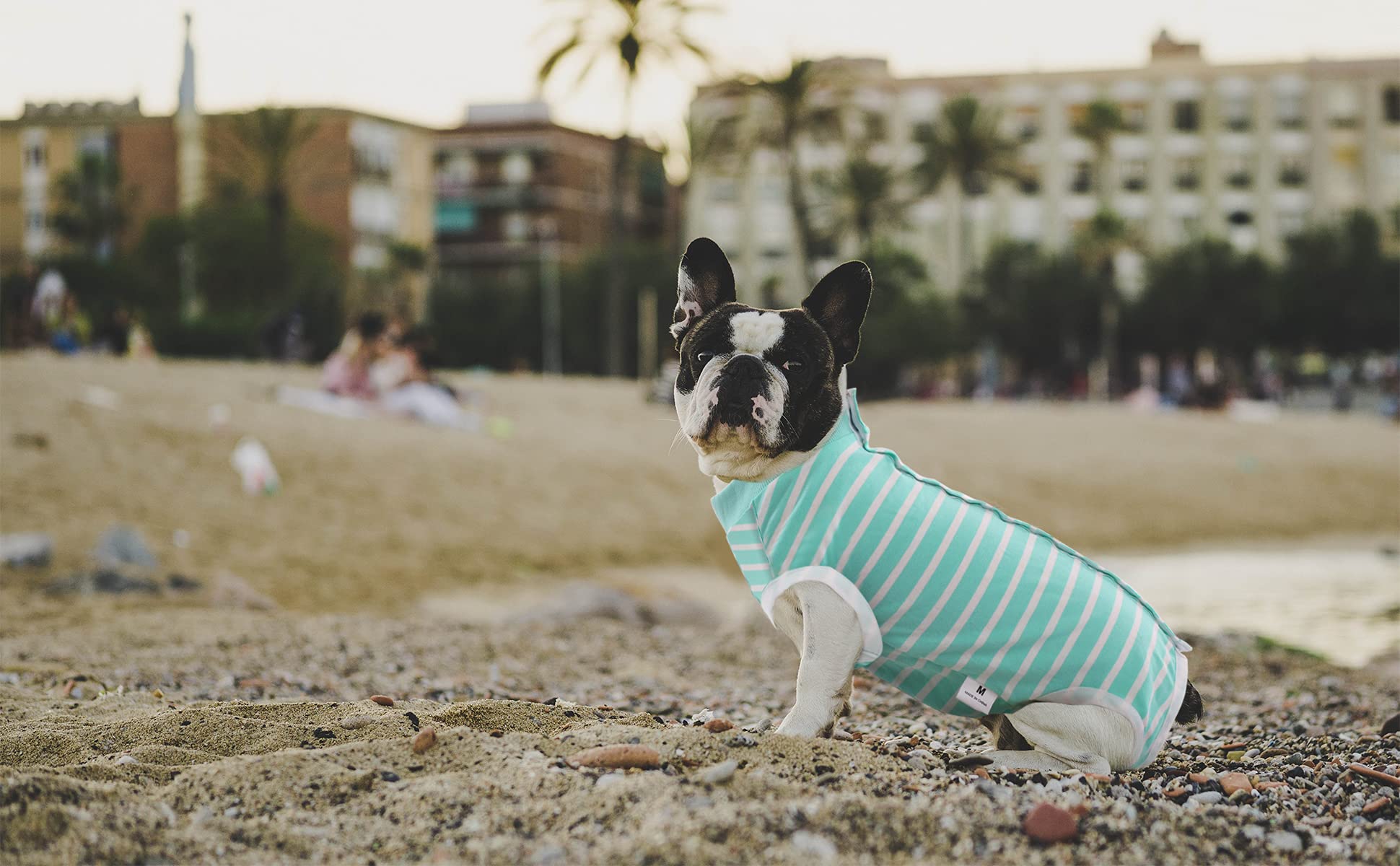 SAWMONG Dog Recovery Suit for Post-Surgery Care - Soft Surgical Suit for Female & Male Dogs - Alternative to E-Collar Cone - Green Small Size - Perfect for Spay/Neuter Recovery, Wound Protection & Comfort at Home