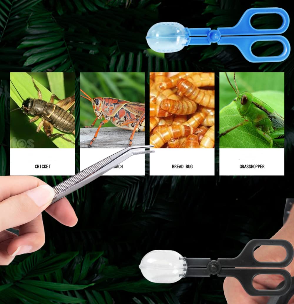 Stainless Steel Reptile Feeding Tongs - Long Handle Feeding Tool for Hedgehogs, Hamsters, Guinea Pigs, Rats & Lizards | Small Animal Care Supplies | Perfect for Feeding & Cage Cleaning