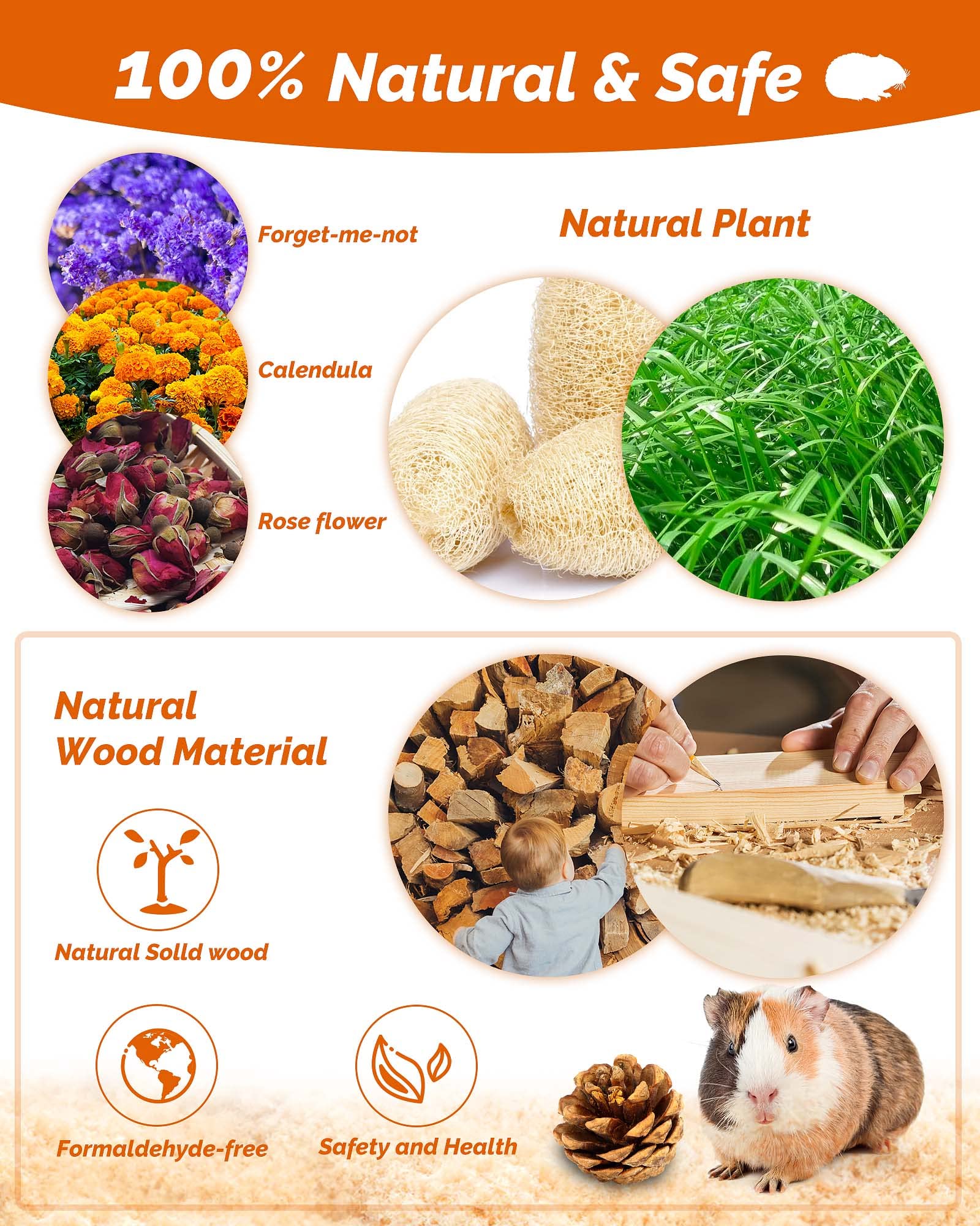 18 Pcs Natural Apple Wood Small Animal Chew Toys for Hamsters, Guinea Pigs, Rabbits, Chinchillas, Gerbils & Rats - Teeth Molar Exercise Accessories for Cage Enrichment & Dental Health
