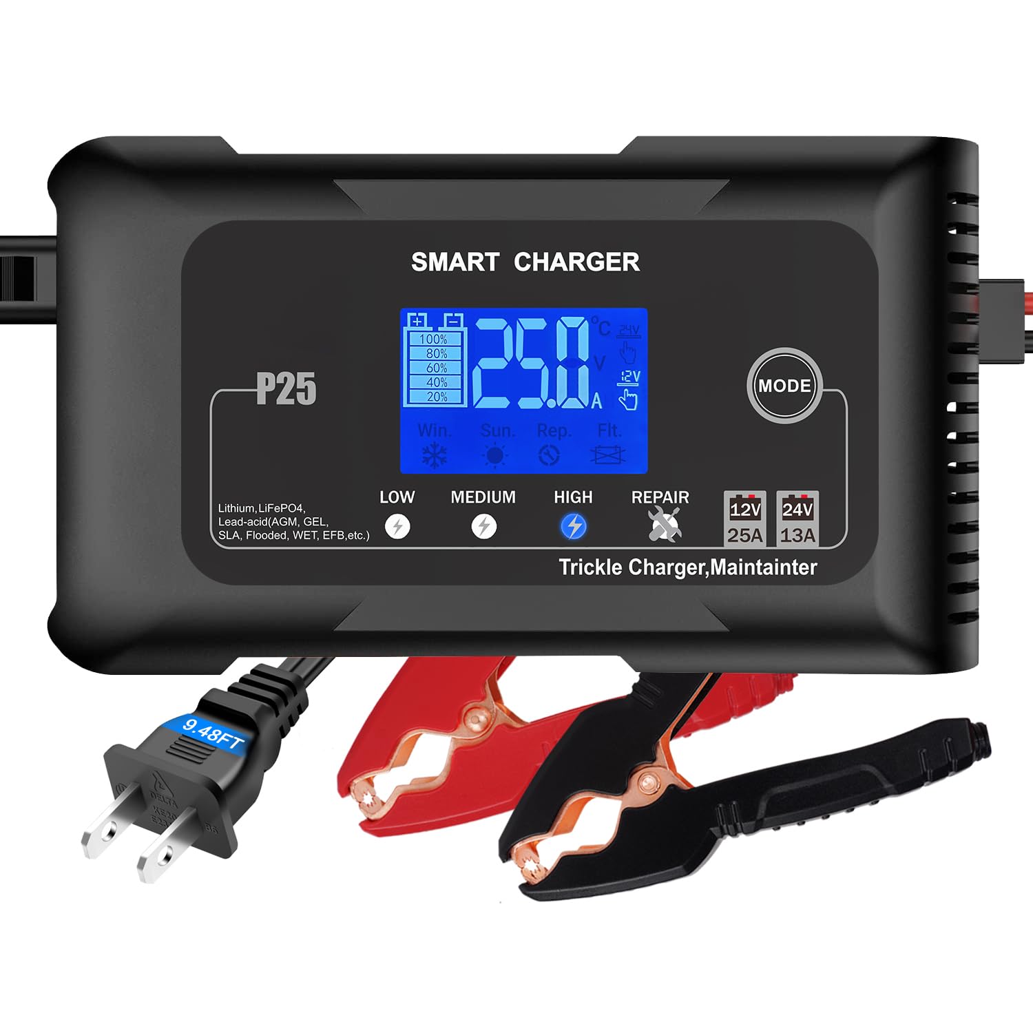 25Amp 12V/24V Lithium Battery Charger for Lifepo4 & Lead Acid (AGM/Gel/SLA) - High Power Fast Charger & Trickle Maintainer for Car, Boat, Motorcycle - Perfect for RV, Marine, ATV & Off-Grid Power Supply