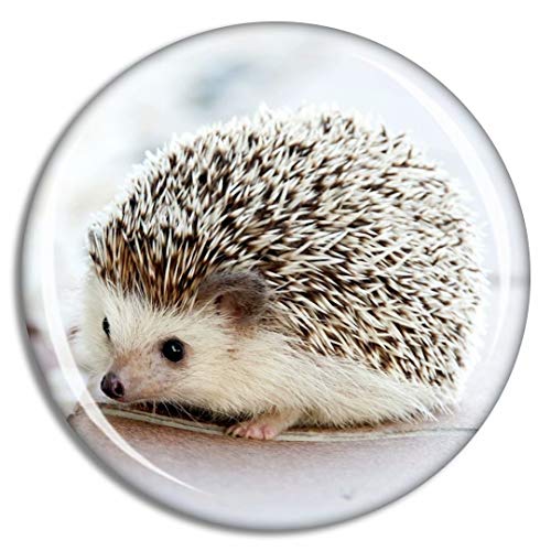 Hedgehog
