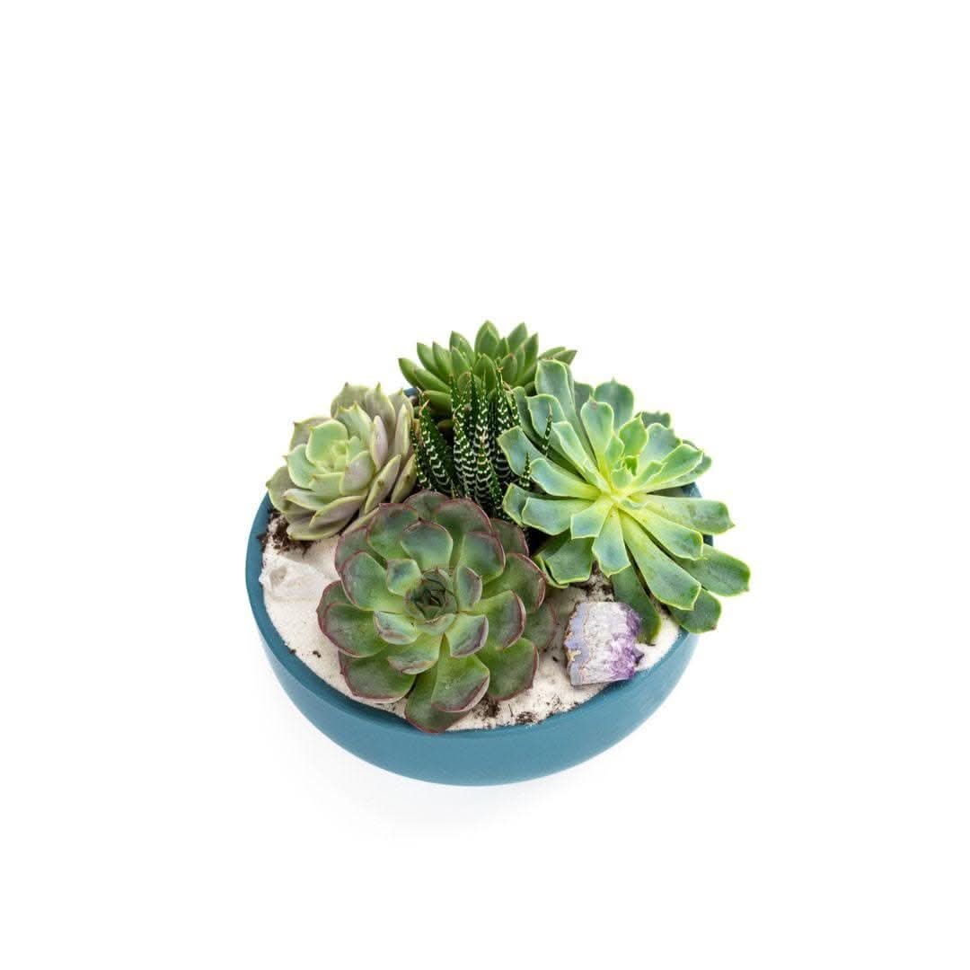 Antique Teal Crystal Succulent Garden Planter - Handmade Glass Terrarium for Succulents, Air Plants & Home Decor - Perfect for Windowsills, Office Desks & Wedding Centerpieces