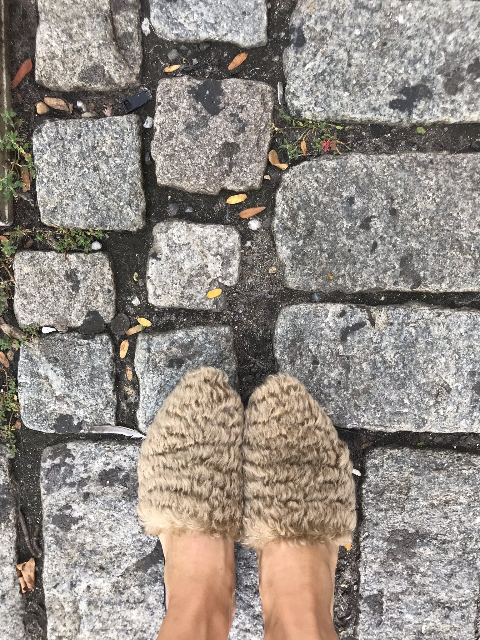 AM x STARCH SLIDES - Premium Camel Color Slides for Men & Women | Comfortable Summer Sandals for Beach, Pool, and Casual Wear