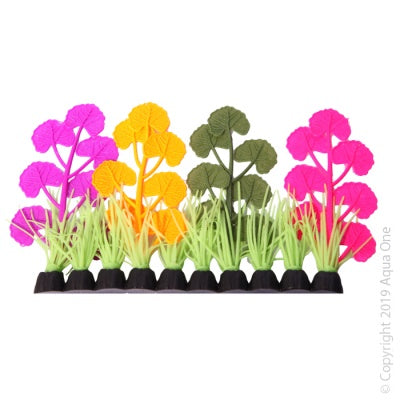 Aqua One Flexiscape Pennywort Live Aquatic Plant - Assorted Small Size for Freshwater Aquariums & Fish Tanks - Perfect for Aquascaping, Shrimp Tanks & Natural Decor