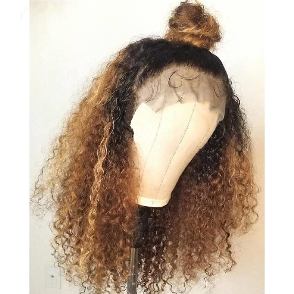 180% Density Ombre Curly Human Hair Wigs - 100% Brazilian Kinky Curly Virgin Hair - 5x5 Lace Front Wig with PU Scalp - 1BT4/27 Color - 10 Inch Length - Perfect for Daily Wear, Parties & Special Occasions