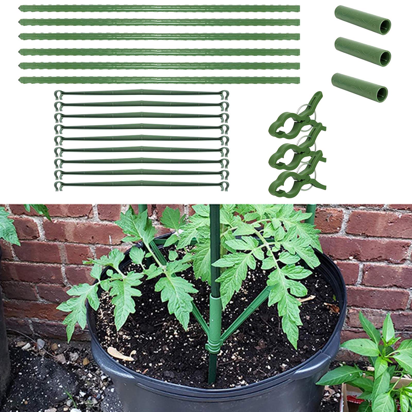 **Tomato Plant Support Cage with Clips - Sturdy Garden Cage for Indoor & Outdoor Potted Plants, Vegetables, Flowers, Fruits - Perfect for Vertical Climbing Plants in Home Gardens & Greenhouses**