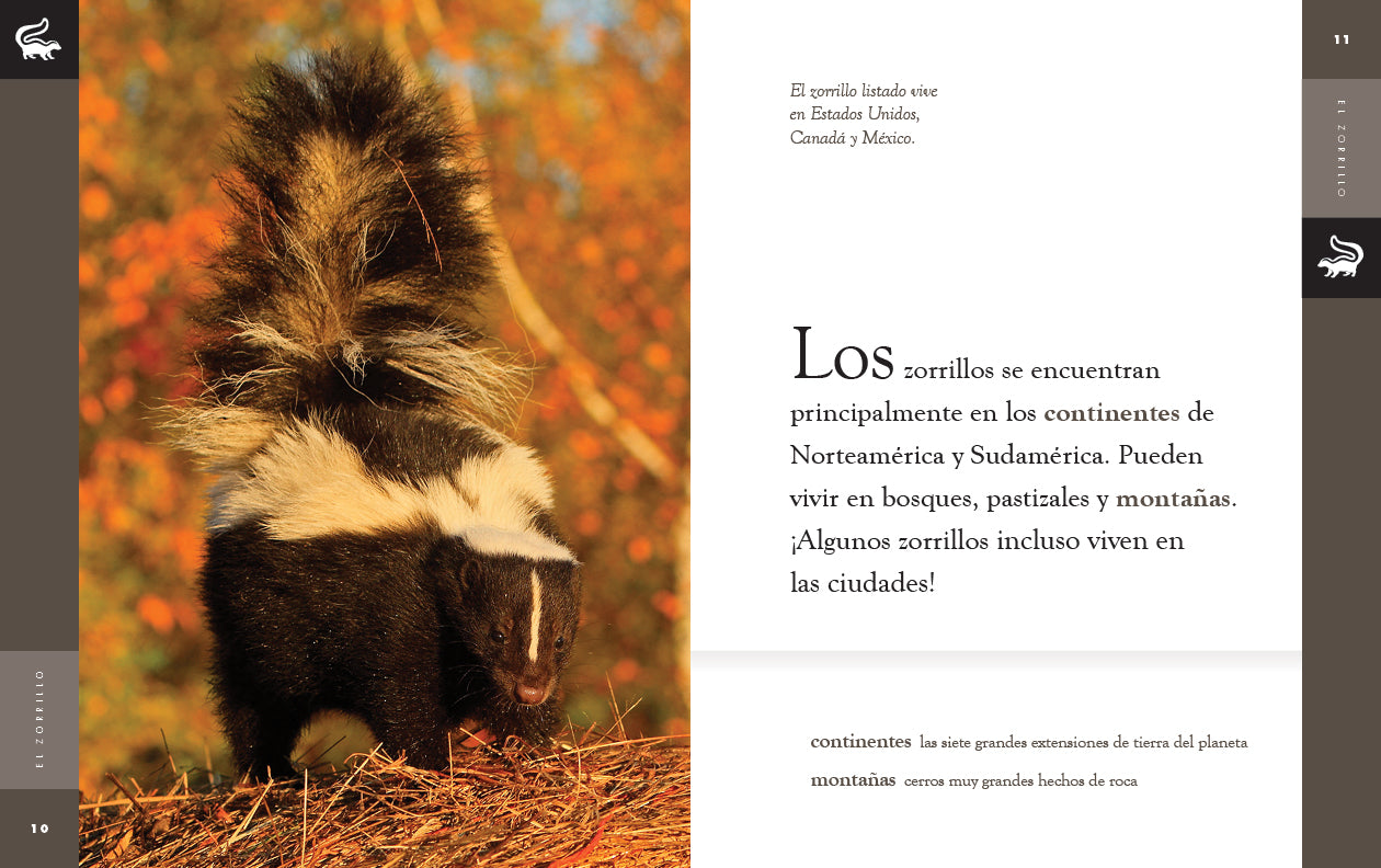 El Zorrillo 9781640266971 - Wildlife Book for Kids | Learn About Skunks & Nature | Perfect for Homeschooling & Classroom Education