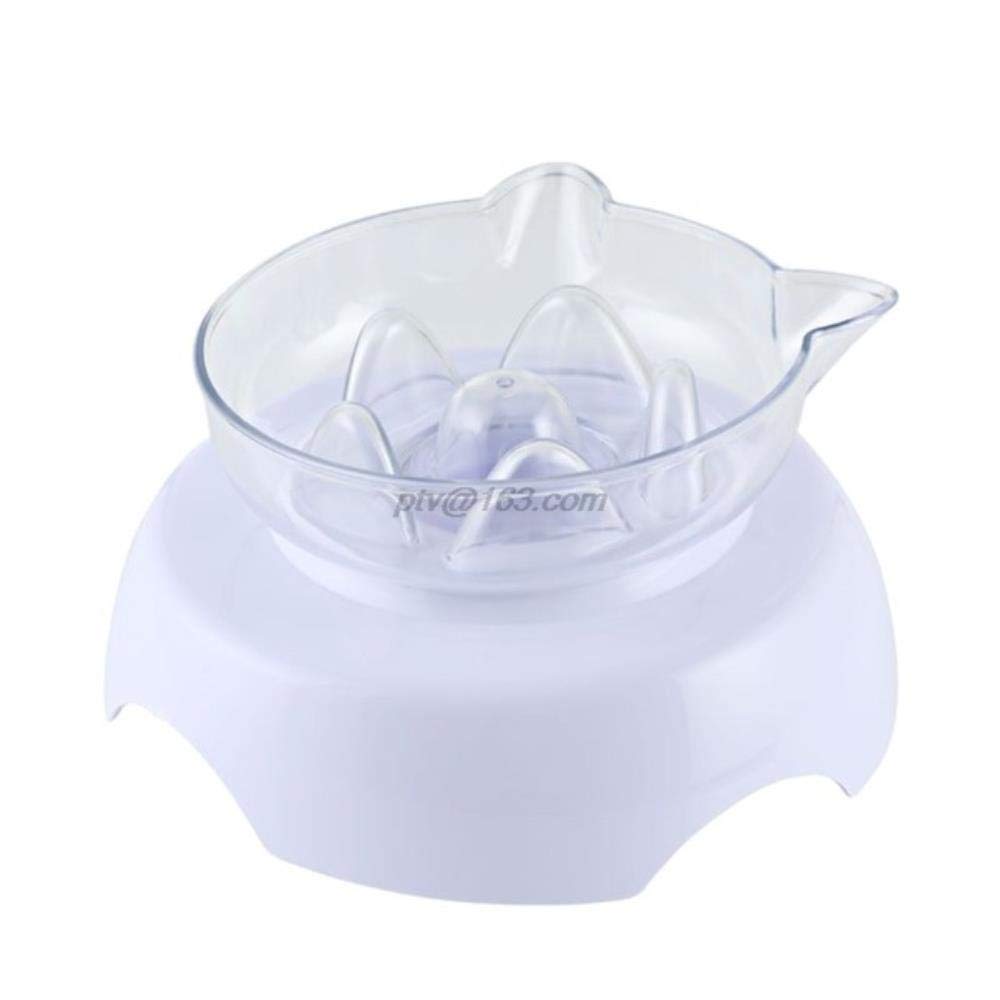 Elevated Cat Dog Bowl - 15 Degree Tilt Slow Feeder Pet Food & Water Dish with Neck Guard - Anti-Choke Raised Feeder for Small Medium Pets - Perfect for Home, Travel & Vet Visits (White)