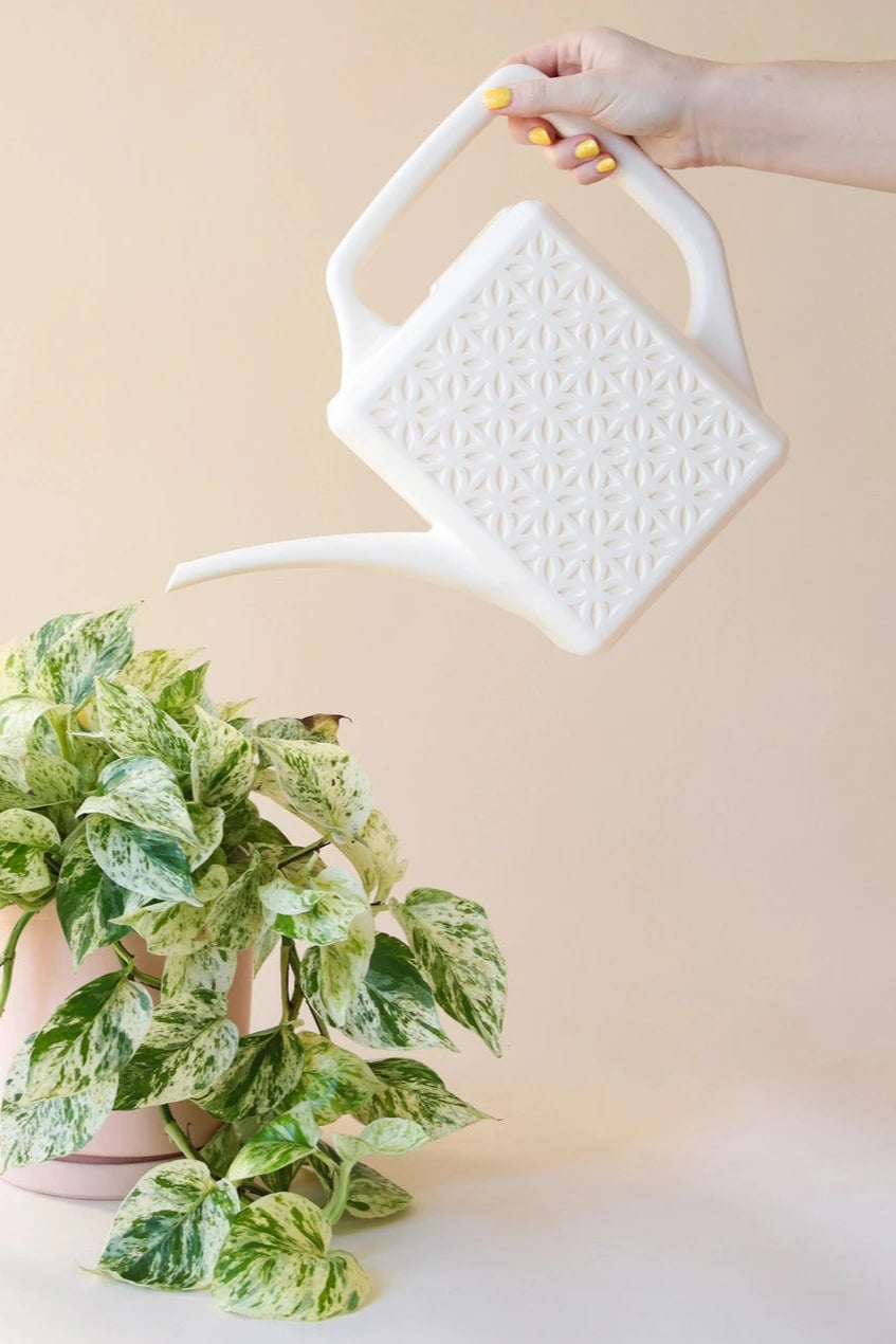 Modern Breeze Block Design Watering Can in Ivory - Perfect for Indoor Plants, Garden Decor, and Home Office Accessories