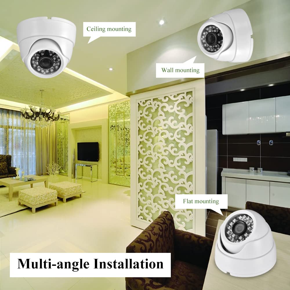 Vanxse® 800TVL Indoor Dome Security Camera with 24 IR LEDs, 1/3
