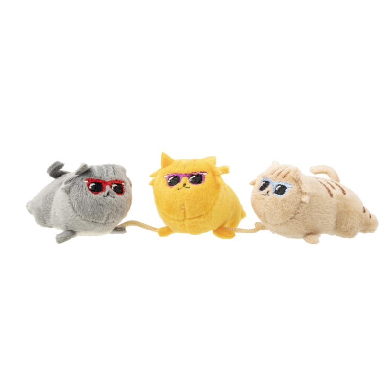 Fuzzyard Cool Cats Cat Toy - Interactive Cat Toys for Indoor Play, Exercise & Fun - Best for Kittens & Adult Cats