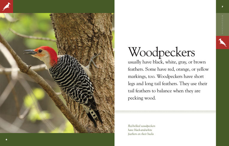 Amazing Animals (2014): Woodpeckers - Educational Wildlife Documentary for Nature Lovers & Bird Watching Enthusiasts | Perfect for Home Learning, Classroom Teaching & Nature Exploration