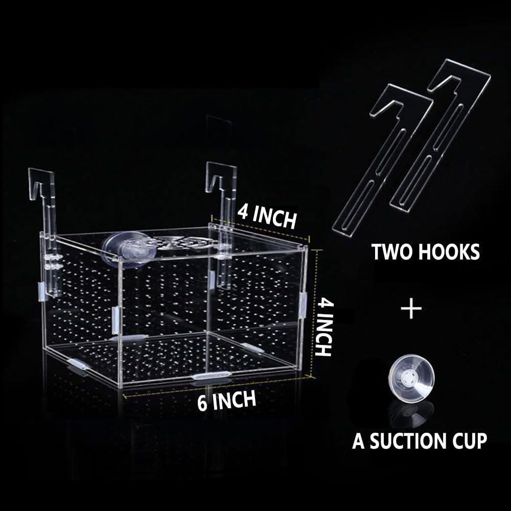 Acrylic Fish Breeding Box - 6x4x4 Inch Aquarium Hatchery & Incubator with Suction Cups for Baby Fish, Shrimp & Clownfish - Perfect for Fish Separation, Breeding Isolation and Safe Nursery in Home Aquariums