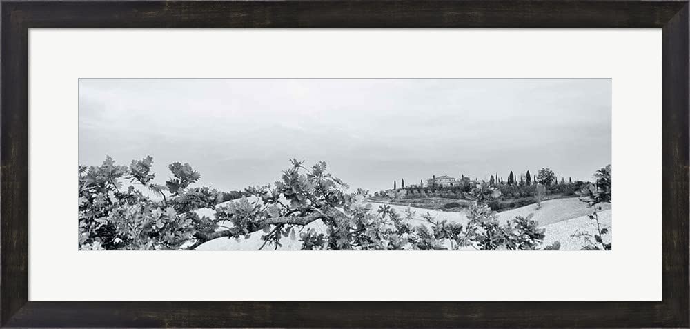 Aledanda Villa View Light Crop Framed Art Print - 31 x 15 Inches Espresso Brown Wall Picture - Perfect for Living Room, Bedroom & Office Decor