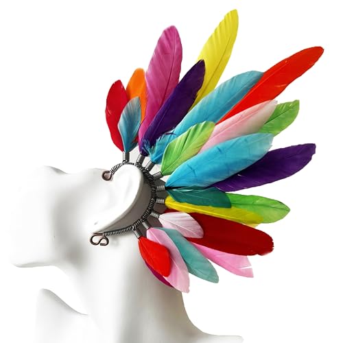 Colorful goose feather#right