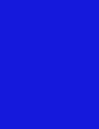 Large Mesh - Royal Blue