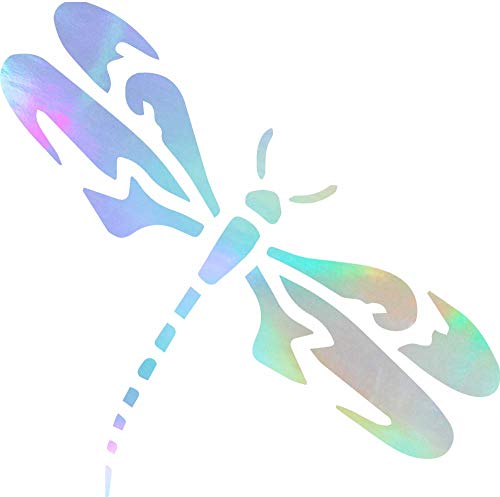 Hologram
