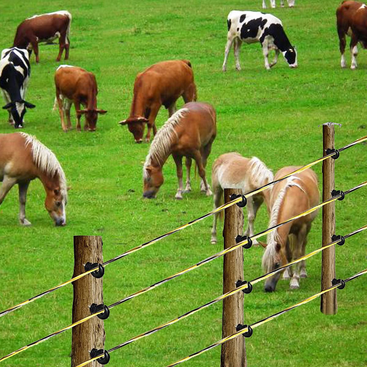 330 Feet Electric Fence Polywire - 1/8