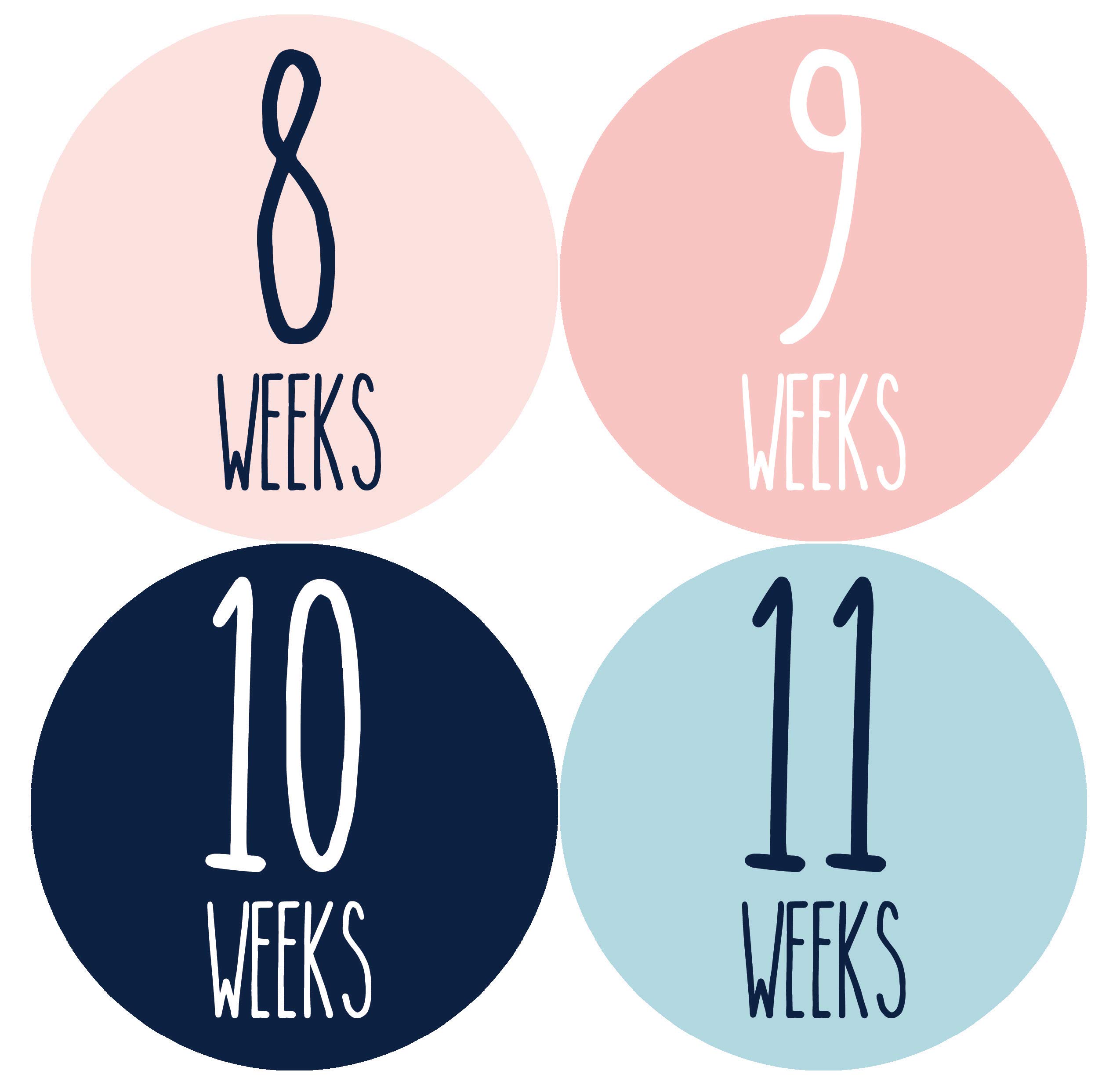 Months In Motion Weekly Pregnancy Growth Stickers - 36 Pcs Baby Bump Photo Props for Maternity Milestones | Perfect for Pregnancy Journal, Baby Shower Gifts & Bumpdate Photos | Track Your Pregnancy Journey Week by Week