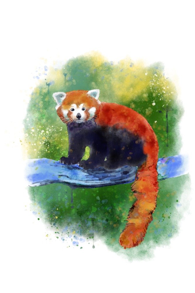 Red Panda Watercolor Art Print - 36x54 Giclee Gallery Quality Poster - Asian Wildlife Wall Decor for Living Room, Nursery & Office - Perfect Gift for Animal Lovers & Travel Enthusiasts