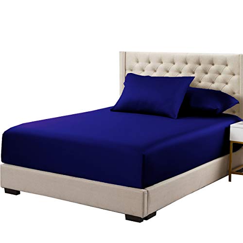 Royal-blue