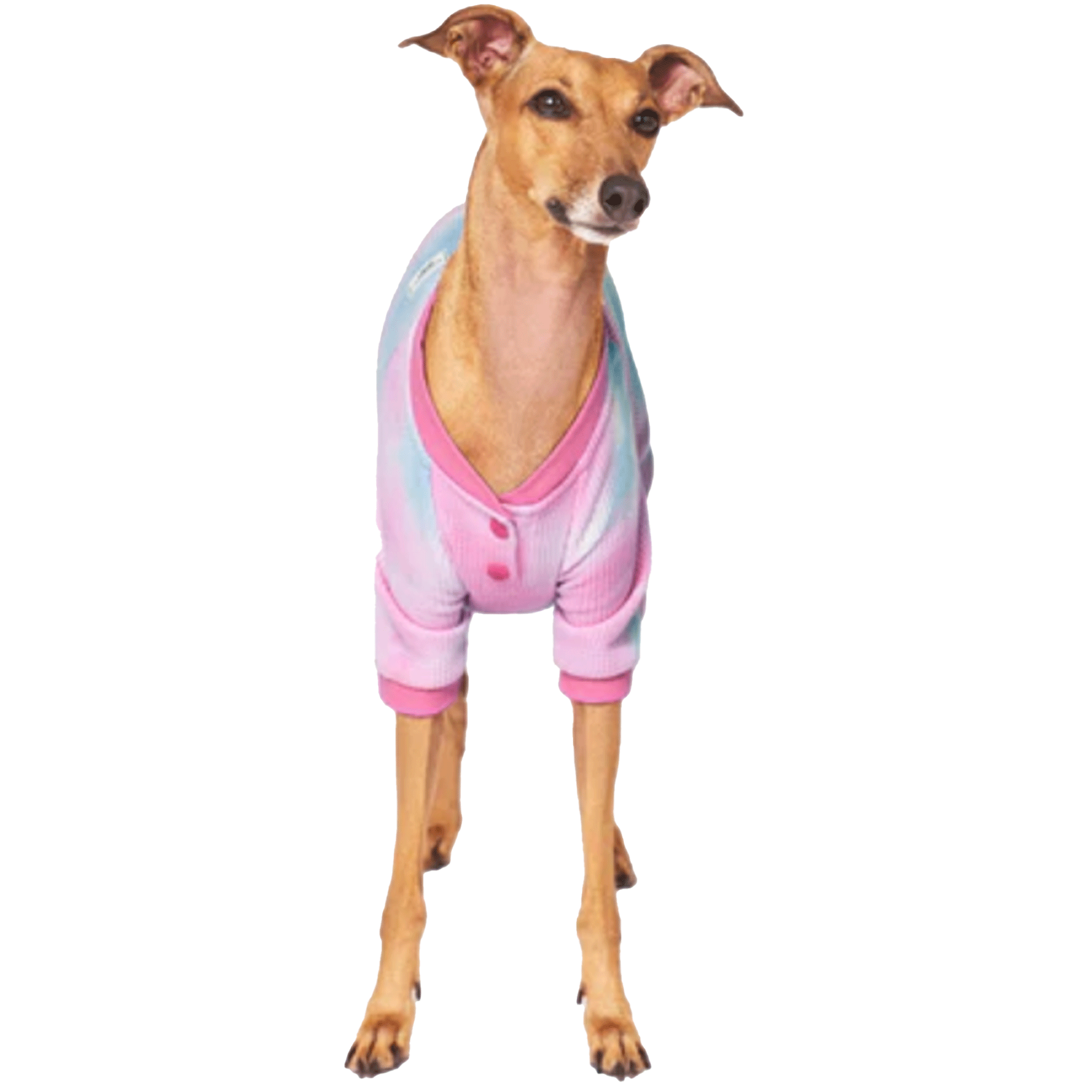 Canada Pooch One of a Kind Waffle Onesie for Dogs - Cozy Winter Dog Pajamas for Small & Large Breeds - Perfect for Cold Weather & Indoor Lounging