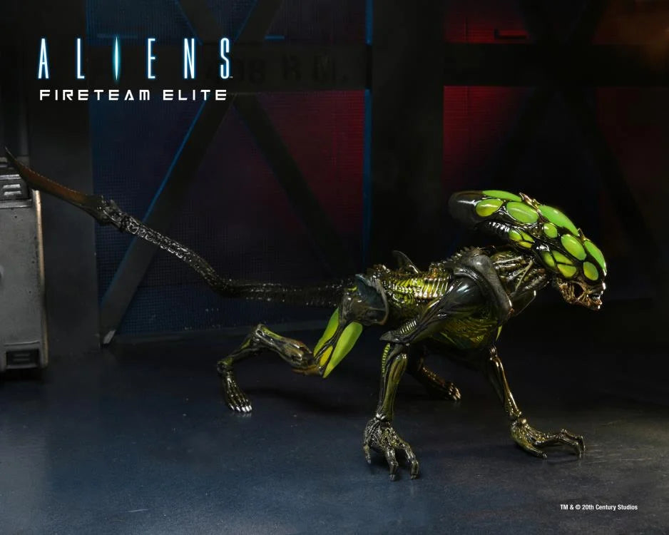Aliens: Fireteam Elite - Burster Alien Action Figure | Collectible Sci-Fi Toy for Fans | Perfect for Display, Gaming, and Cosplay