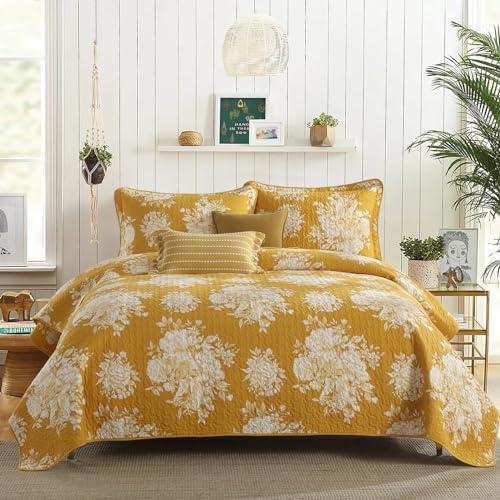 Spruce Yellow