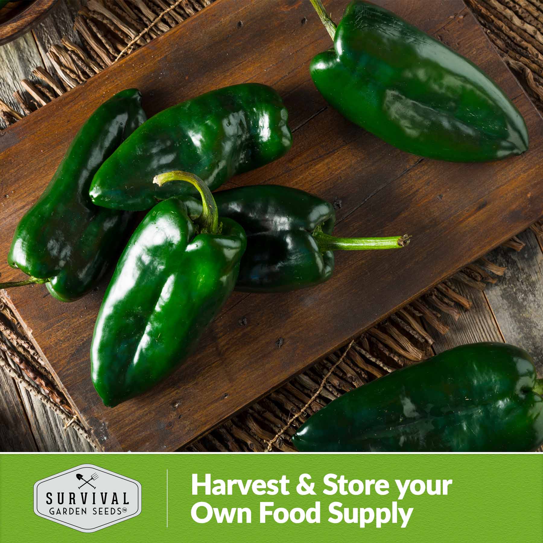 Poblano Pepper Seeds (Ancho Chili) - Non-GMO, Heirloom Variety for Home Gardening & Mexican Cuisine | Perfect for Salsas, Stuffed Peppers & Authentic Mexican Dishes