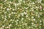 Organic Green Split Peas - 5 lb Bulk Bag | High-Protein, Vegan, Gluten-Free | Perfect for Soups, Stews, and Healthy Meal Prep