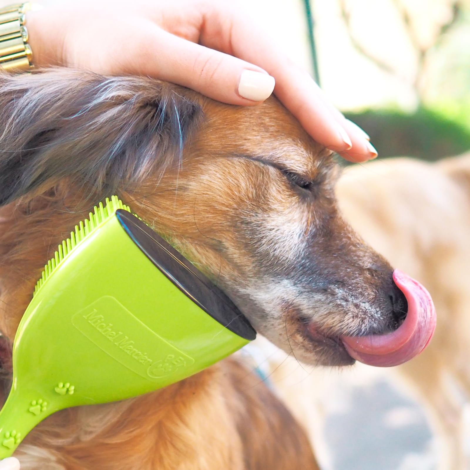 Michel Mercier Pet Detangling Brush for Dogs & Cats - Fine & Normal Fur Grooming Brush for Detangling, Deshedding & Shedding Control - Perfect for Daily Pet Care at Home or Professional Grooming Sessions