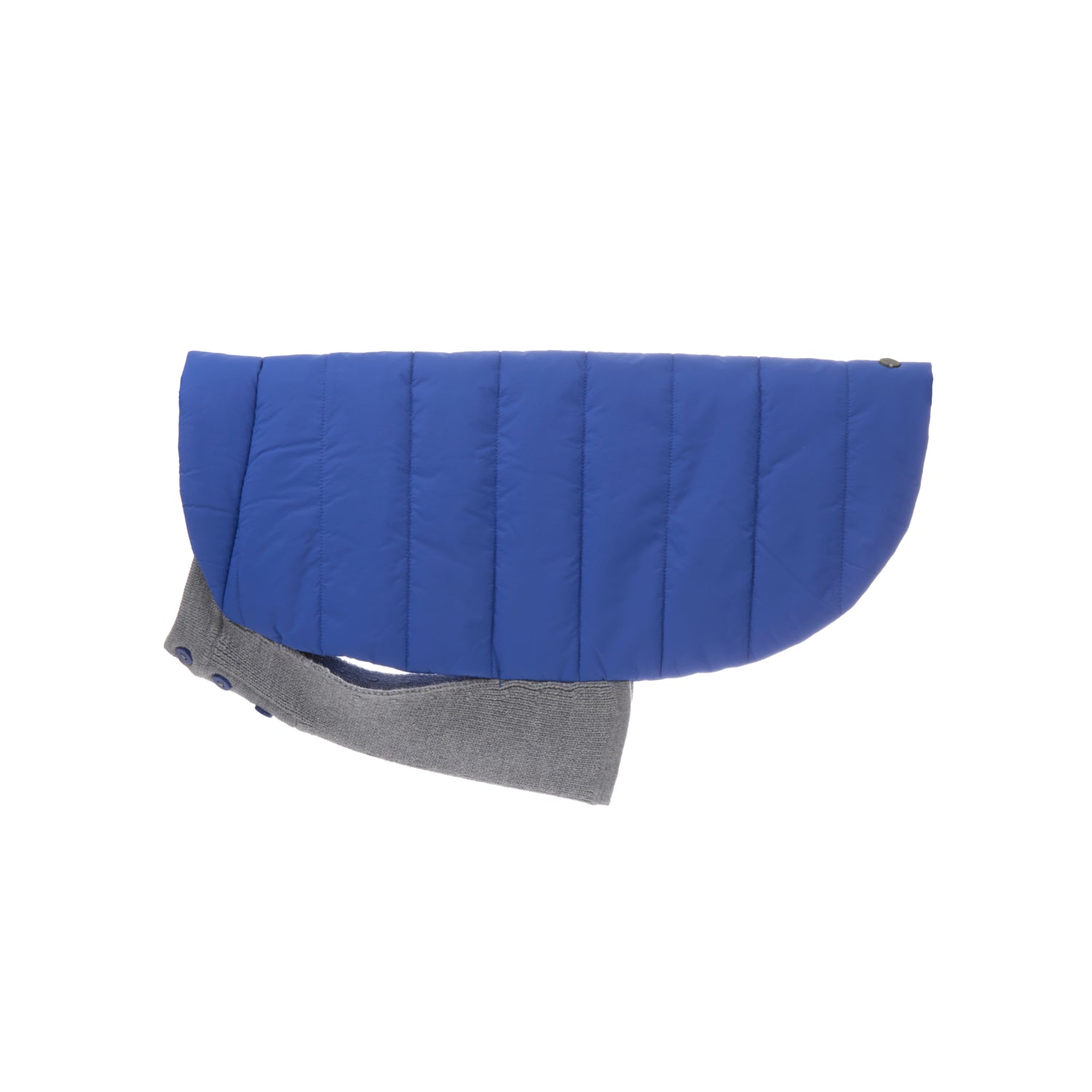 Premium Beetle Dog Coat in Cobalt Blue - Waterproof & Windproof Winter Jacket for Small to Medium Dogs - Perfect for Outdoor Walks, Hiking, and Cold Weather Adventures