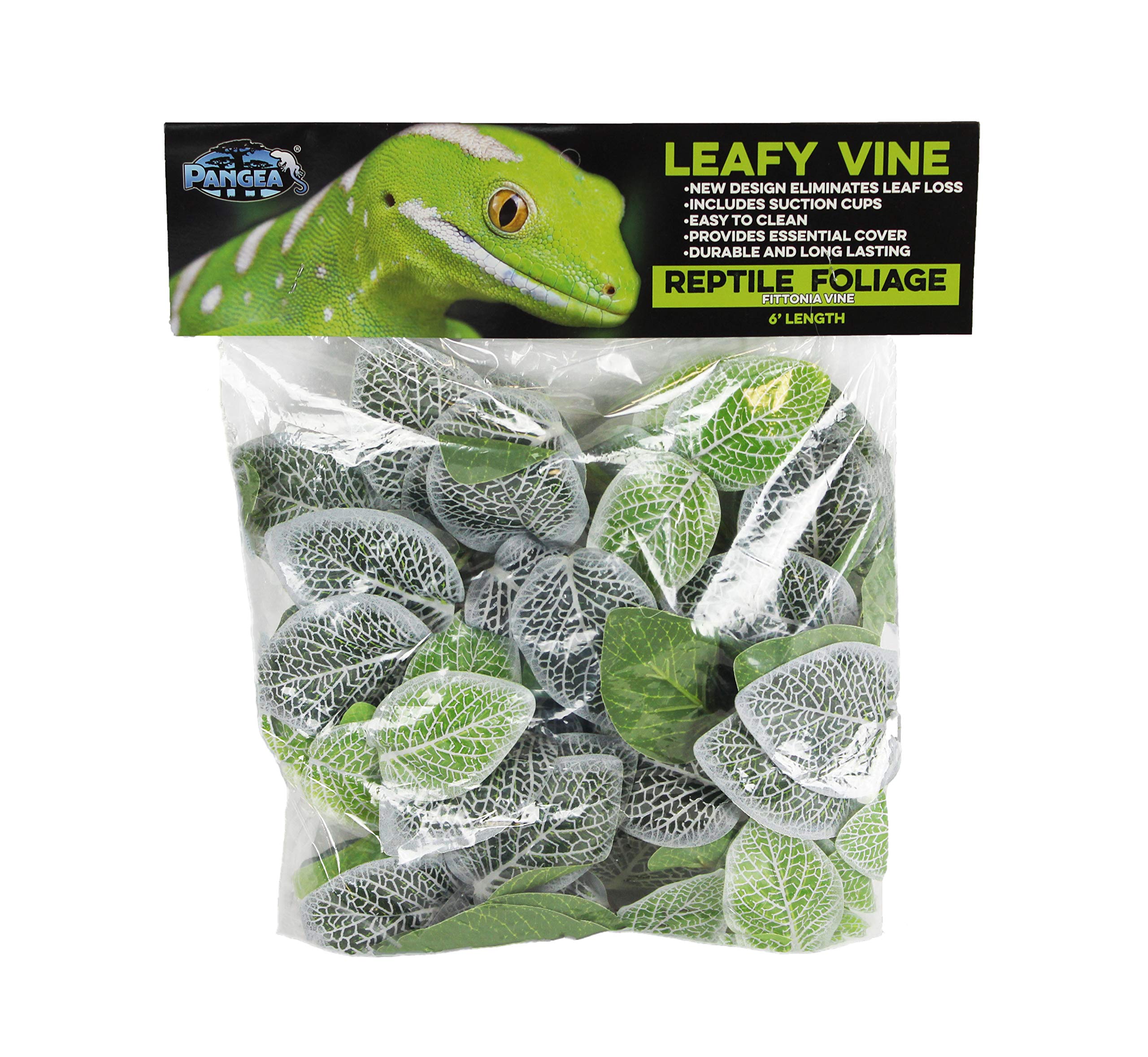 Pangea Leafy Vine for Reptile Terrarium Habitat - Realistic Fittonia Plant for Lizards, Geckos & Snakes - Perfect for Jungle & Rainforest Enclosure Decor