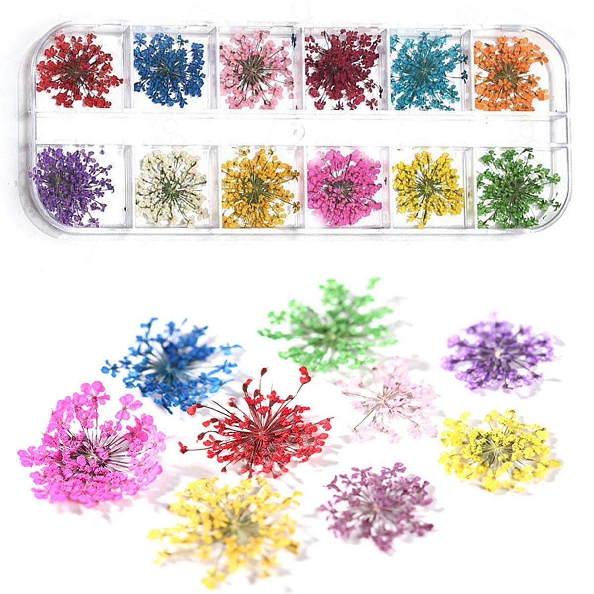 12 Patterns 3D Dry Flowers Stickers - Real Dried Flower Nail Art Decoration Tips for DIY Manicure Tools, Plastic Nail Accessories - Perfect for Nail Salon, Home Manicure, Gift Giving & Nail Art Design