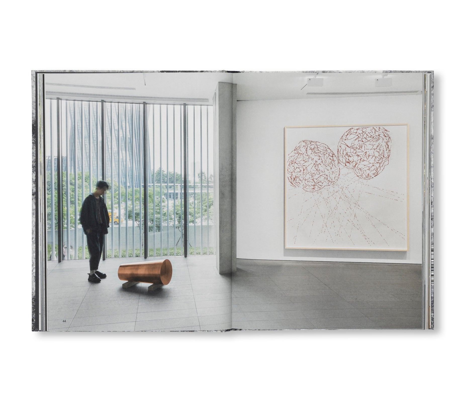 A DREAM NOT DREAMT by Roni Horn - Contemporary Art Book for Collectors & Art Lovers - Perfect for Home Decor, Gallery Displays & Gift Giving