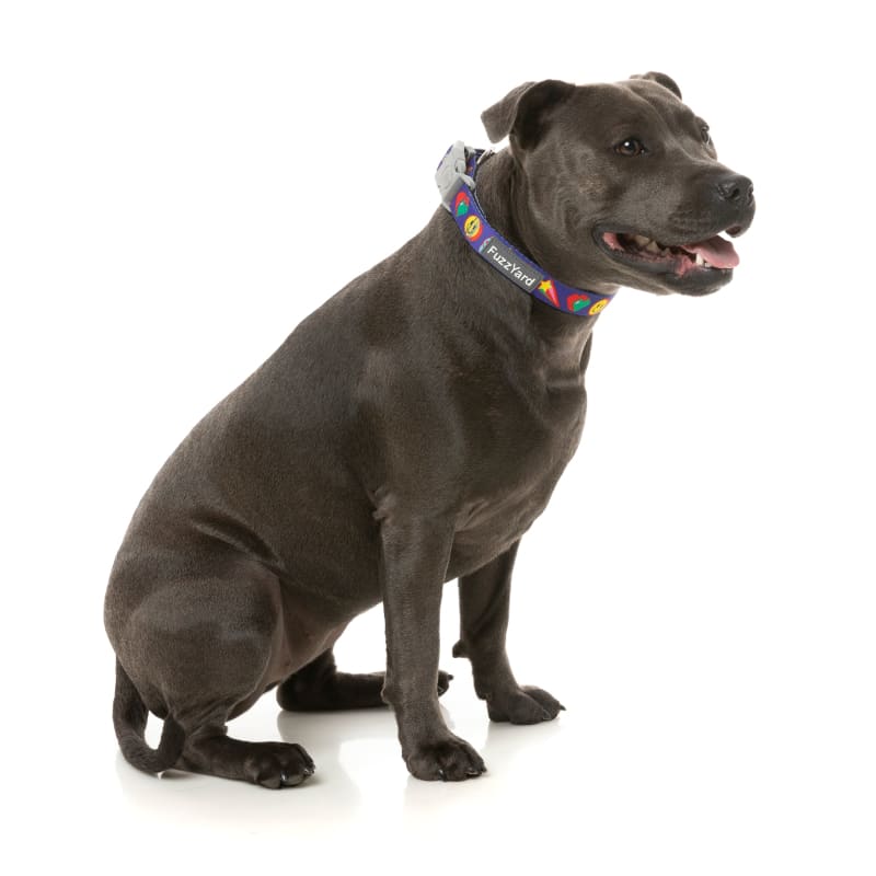 Fuzzyard Highscore Dog Collar - Adjustable & Comfortable Pet Collar for Small Medium Large Dogs | Durable Nylon Dog Collar for Walking, Training & Outdoor Adventures (3 Sizes Available)