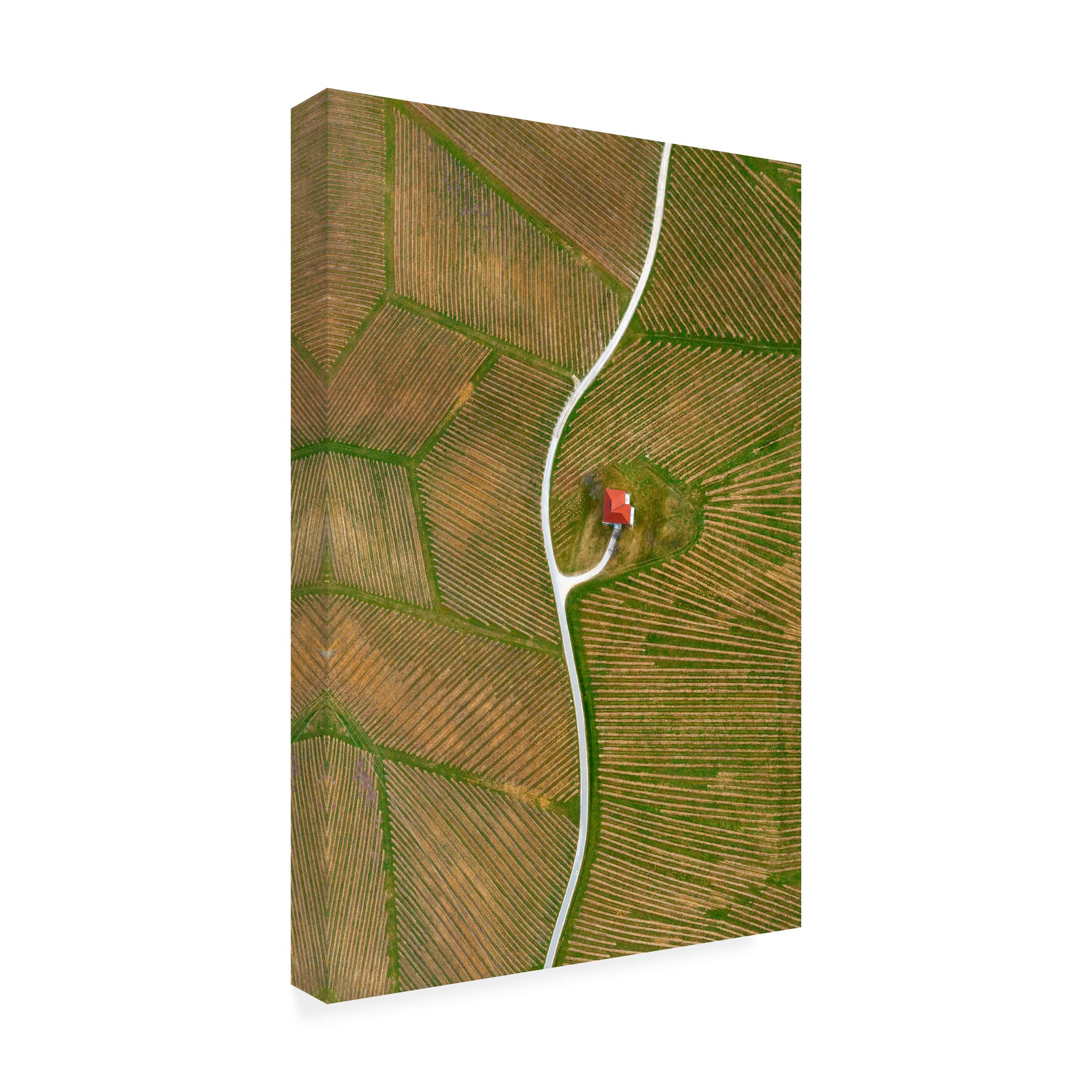 Trademark Fine Art 'Vineyards' Canvas Wall Art by Jure Kravanja - Hand-Painted Landscape Painting for Living Room, Bedroom & Office Decor