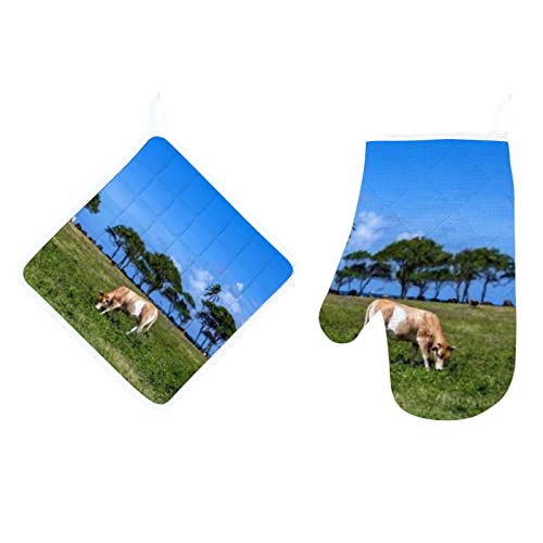Blue Sky Green Grass Scenery