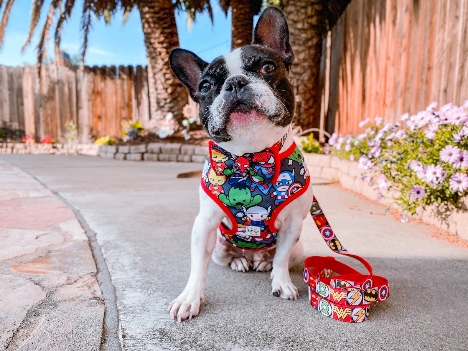 Kawaii Heroes Dog Harness Set - Adjustable Pet Vest for Small & Medium Dogs - Perfect for Walking, Training & Outdoor Adventures